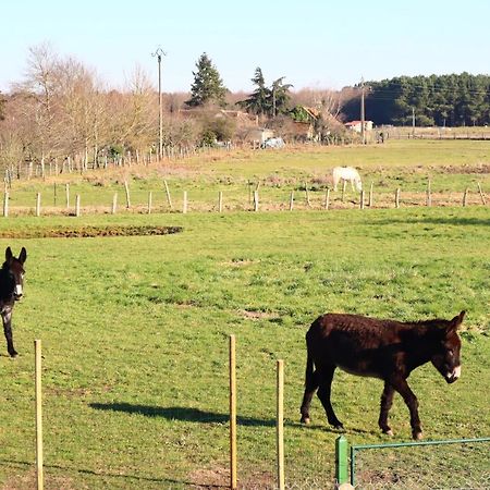 Chambre En Campagne A 15 Min Circuit ! Bed & Breakfast Change  Exterior photo